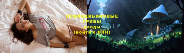 каннабис Лабытнанги