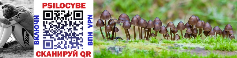 Псилоцибиновые грибы Magic Shrooms  hydra маркетплейс  Усолье  где купить  